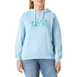 Replay W3045.000.23316E Hoodie